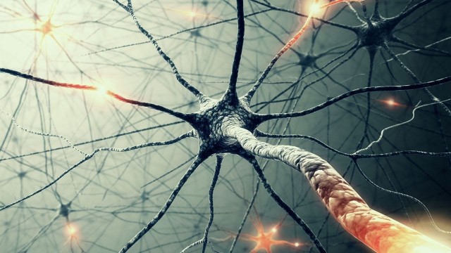 biology-microscopic-cells-neurons-background-1280x720-wallpaper